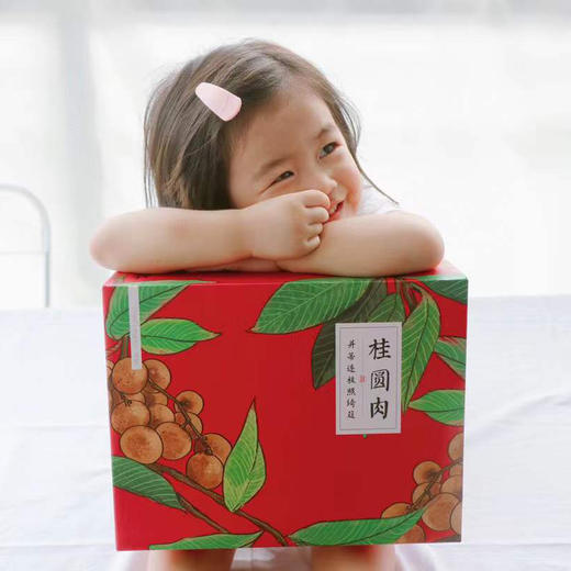高州特级桂圆肉 精选老树桂圆 滋补必备 药食同源  煲汤泡茶 健康零食 商品图2