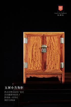 红桥红  家具严选  缅甸花梨（大果紫檀）【46 五屉小方角柜】