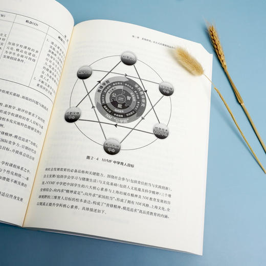 推进育人方式变革的区域教学改进研究 区域教学改进框架 教学转化 学为中心模型 教师专业支撑 小初高 正版 华东师范大学出版社 商品图3