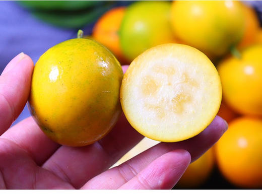 大吉大利3A脆蜜大金桔3斤礼盒装 商品图5