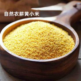  李佳琦两次公益直播的背后 