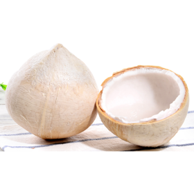 泰国进口椰青9个原箱（开椰器吸管）