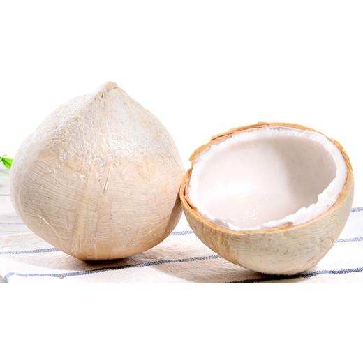 泰国进口椰青9个原箱（开椰器吸管） 商品图0