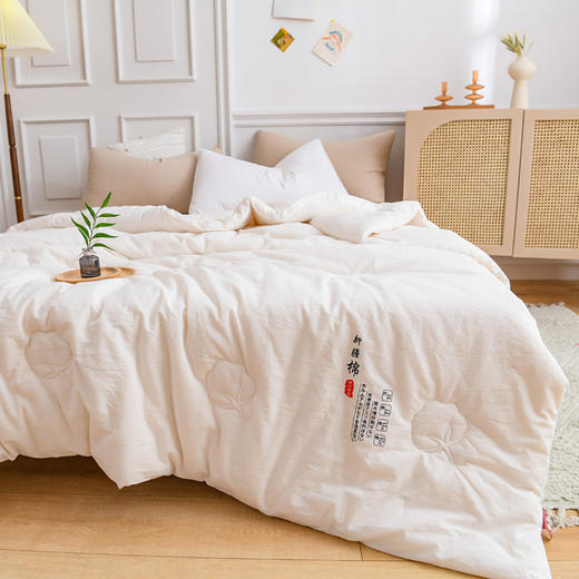 无印良品無印“无暇”新疆棉花被（冬）200×230（±2)cm 商品图0