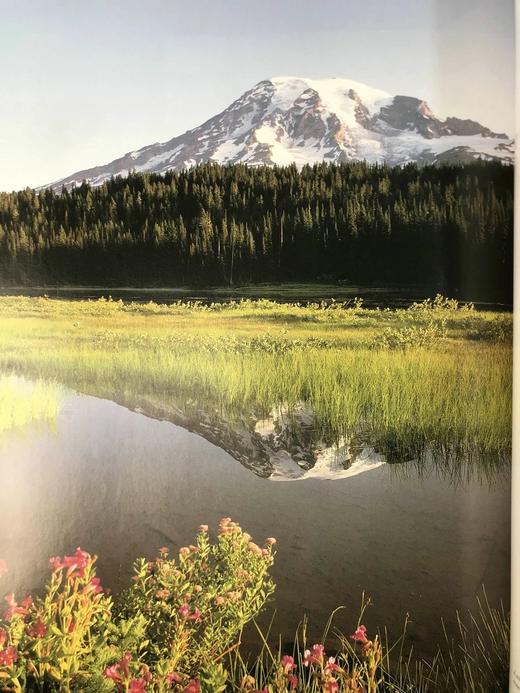 信念与启发的理想宝库 约百幅彩色插图 精装大16开 商品图5