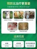 【猫用】福 lai en 猫咪体外驱虫药驱除跳蚤蜱虫 商品缩略图2