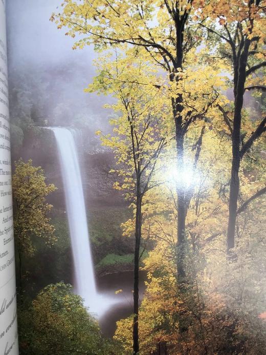 信念与启发的理想宝库 约百幅彩色插图 精装大16开 商品图10