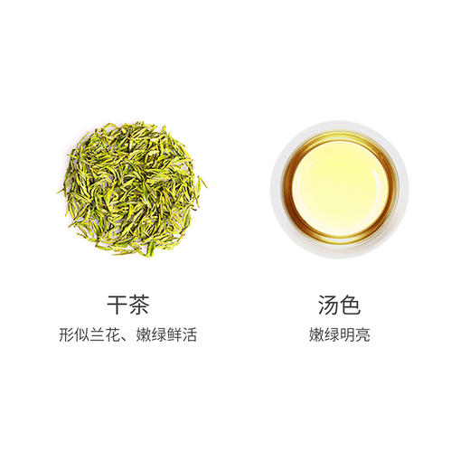 G|小罐茶 多泡装 安吉白茶 商品图1