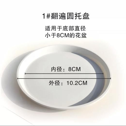 【绿植】托盘 商品图1