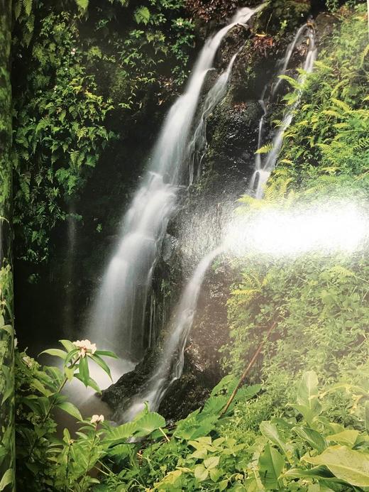 信念与启发的理想宝库 约百幅彩色插图 精装大16开 商品图14