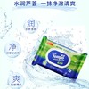 Tempo得宝湿厕纸 植物呵护敏感肌专用40片/包x2包 经期可用抽取式湿厕纸（新旧包装随机发货） 商品缩略图0