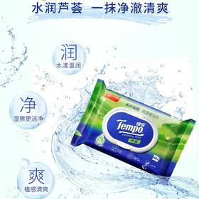 Tempo得宝湿厕纸 植物呵护敏感肌专用40片/包x2包 经期可用抽取式湿厕纸（新旧包装随机发货）