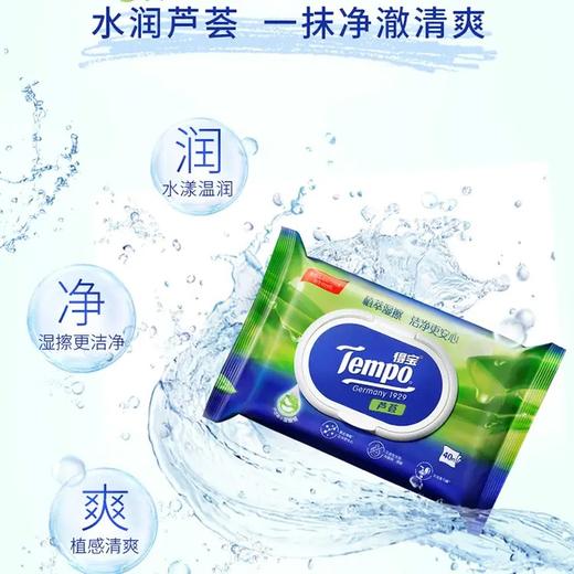 Tempo得宝湿厕纸 植物呵护敏感肌专用40片/包x2包 经期可用抽取式湿厕纸（新旧包装随机发货） 商品图0
