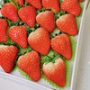 [2022年]来自丹东的牛奶草莓-爆甜多汁，草莓味超浓！（一盒约1.8-2斤） 商品缩略图0