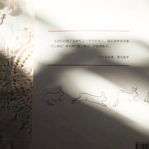 猎兔   （拉美文学鬼才携手西班牙国家插画奖得主，文学想象力碰撞风格图像。） 商品图5