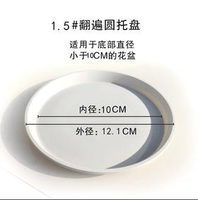 【绿植】托盘