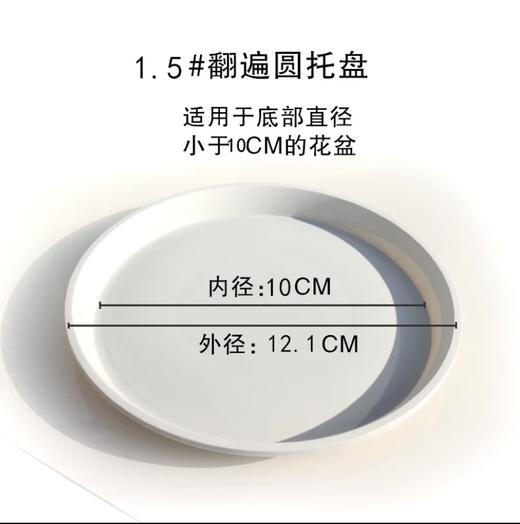 【绿植】托盘 商品图0