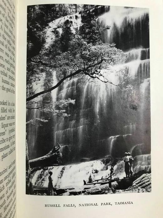 澳大利亚风物志 4幅彩色12幅黑白插图 精装32开 商品图14