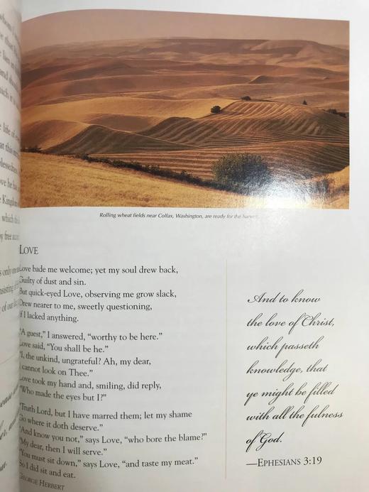 信念与启发的理想宝库 约百幅彩色插图 精装大16开 商品图11