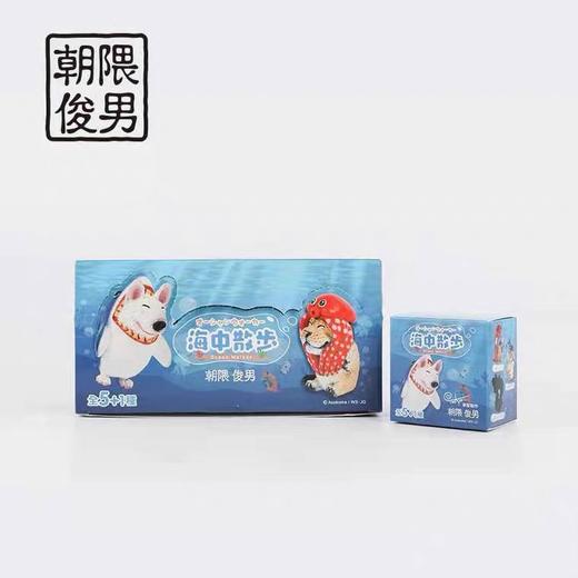 蓝璞丹盲盒系列 Animal life 海中散步 （赠送限定虎年钥匙扣） 商品图4