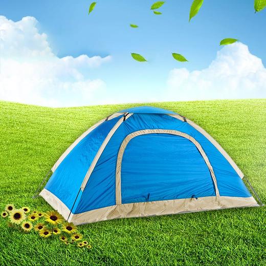 TYSeashore纵贯线双人单层帐篷ZP-06A /210*140*110cm【鲜享1.5】 商品图1