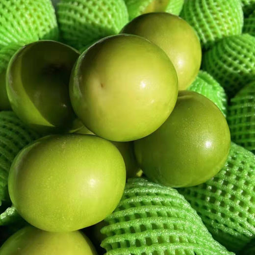 云南牛奶枣6斤 商品图0