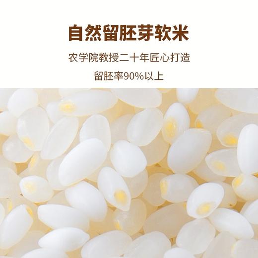 沈农吕文彦教授团队育种软胚芽米5kg/10斤 真空大米 彦粳软玉1号粳米营养粥米 胚芽软米 商品图3