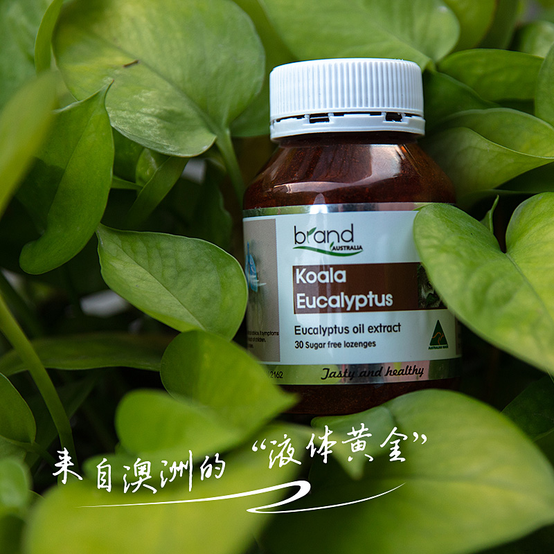 【澳洲原装进口】澳洲 Brand布兰德考拉按树硬糖