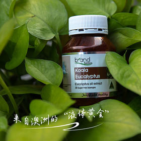 【澳洲原装进口】澳洲 Brand布兰德考拉按树硬糖