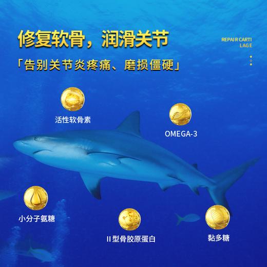 第2瓶半价【一抹缓痛，关节焕发年轻态】澳洲原装进囗，修护软骨、润滑关节，清炎去肿、温热抗湿寒、疏通去积，舒缓肌肉！ 商品图4