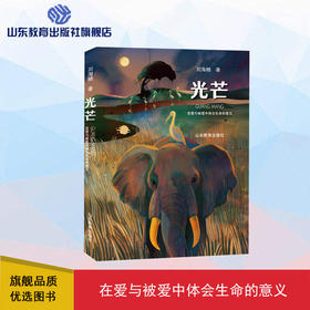 光芒（刘海栖 著）