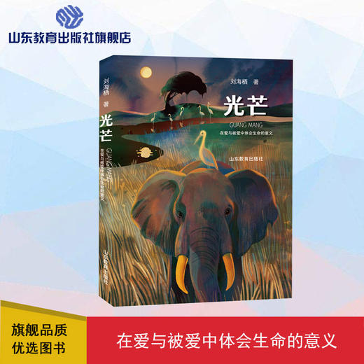 光芒（刘海栖 著） 商品图0
