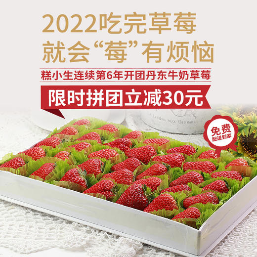 【预售】来自丹东的牛奶草莓-爆甜多汁，草莓味超浓！（一盒约1.8-2斤） 商品图0