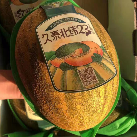 久泰巴西蜜瓜两个（单个2.8-3.2斤） 商品图1