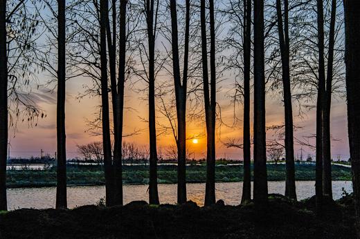 【约惠专线】3.24/3.26确定出发【烟花三月下江南】华东赏樱6天摄影<超特惠团> 商品图6