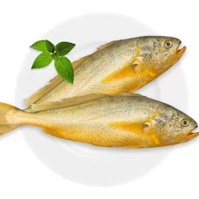 壮元海海鲜礼盒套组（因疫情原因冷冻品暂时无法发货）