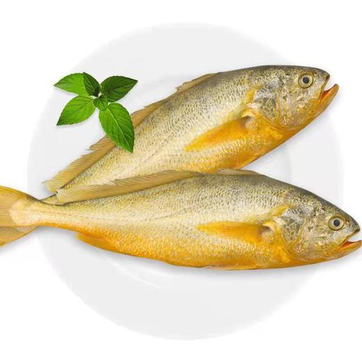 壮元海海鲜礼盒套组（因疫情原因冷冻品暂时无法发货） 商品图0