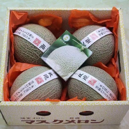 玫珑品牌软心瓜 净重精品瓜 2个/4个礼盒装（日本种源)吃之前看详情 商品图3