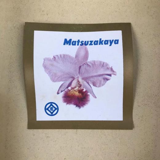 日本松坂屋梅花茶碗 5套装 原盒保留 实物见视频 商品图4