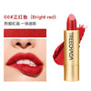 【平价YSL】泰国Treechada小金条魔镜口红 雾感高定哑光持久不脱色 商品缩略图7
