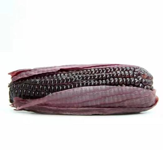 玉米兄弟 有机黑糯玉米 山西忻州 精选款 瑕疵款 商品图3