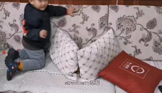 练习说单词游戏之---送玩具回帐篷（Chase 3岁9个月） 商品图0