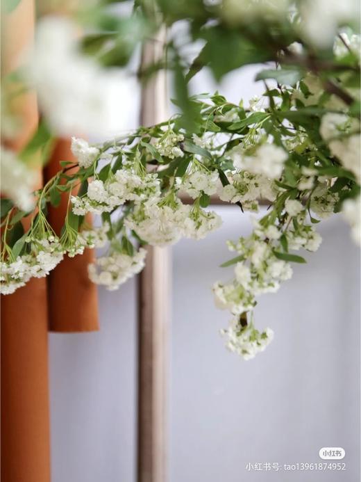 配花-手球花 商品图1