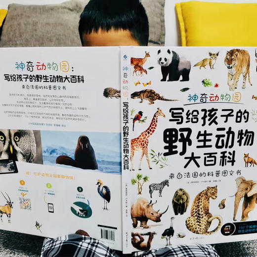 【可点读】海陆空巨幕图鉴·法国国宝级动物百科（野生鸟类+海洋动物+野生动物）国家地理认证专业审校（含500个视频） 商品图6
