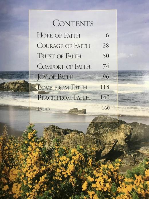 信念与启发的理想宝库 约百幅彩色插图 精装大16开 商品图4