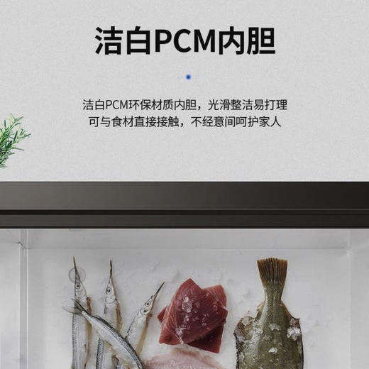 海尔（Haier）冷柜BC/BD-142HER 商品图6