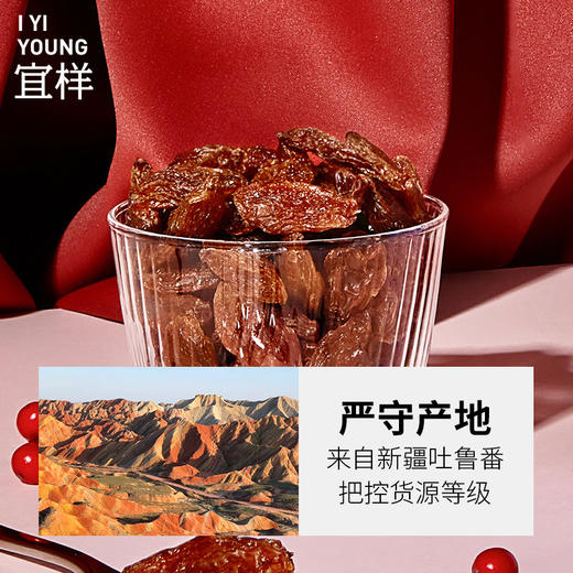 【年货节】宜样 | 红香妃绿香妃新疆特产葡萄干220g 商品图0