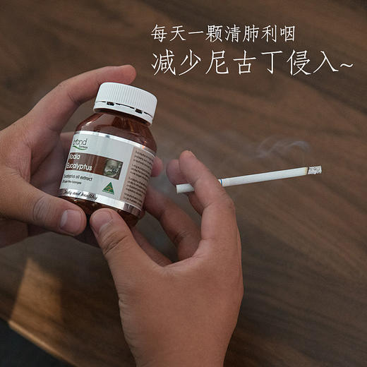 【澳洲原装进口】澳洲 Brand布兰德考拉按树硬糖 商品图1