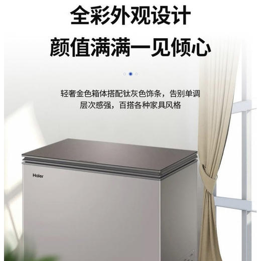 海尔（Haier）冷柜BC/BD-142HER 商品图10