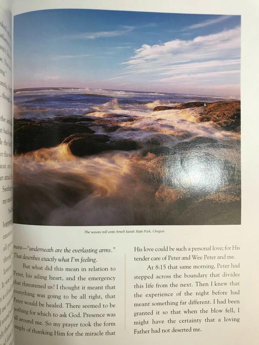 信念与启发的理想宝库 约百幅彩色插图 精装大16开 商品图13